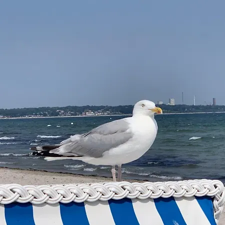 Ferienwohnung Meerzeit Mit Direktem Meerblick In Scharbeutz Διαμέρισμα Scharbeutz
